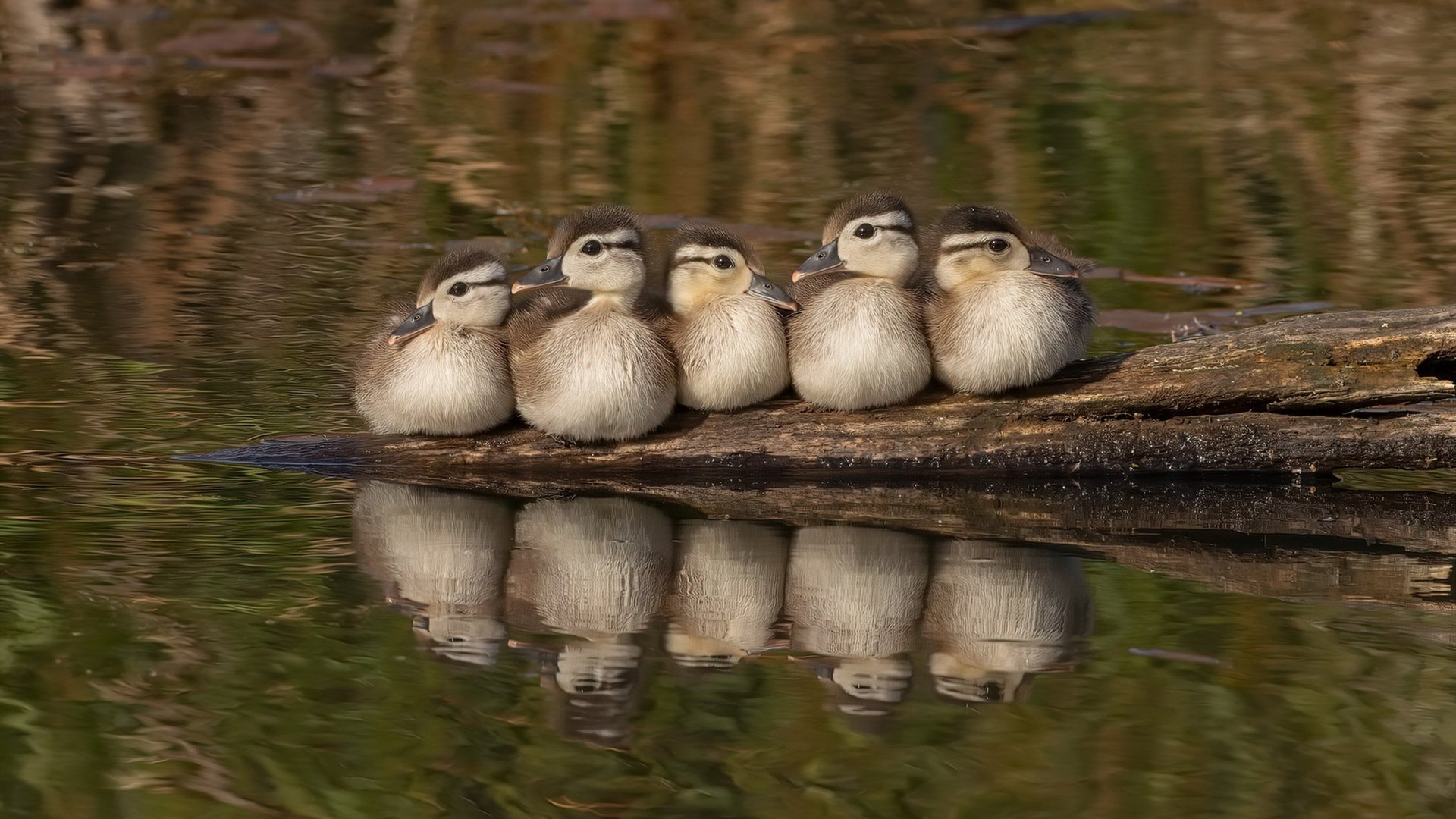 kaiyun开云·官方网站-2025年中国篮球职业联赛赛程全揭秘，2020中国篮球联赛比赛时间表