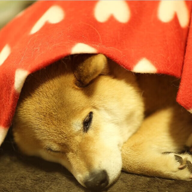 Kaiyun(中国)开云-2025年中超联赛直播平台全面升级，2021中超联赛直播平台